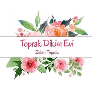 Zehra Toprak