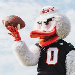 Sebastian Ibis