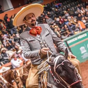 Compirri Diaz Tapia