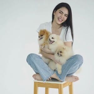 Pola patek