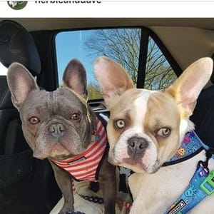 Herbieanddave