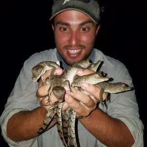 Mike Lloret Reptiles