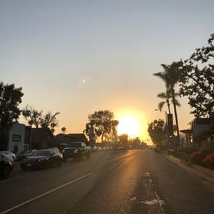 Dom Smales
