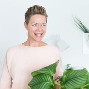 Sinnen Rausch