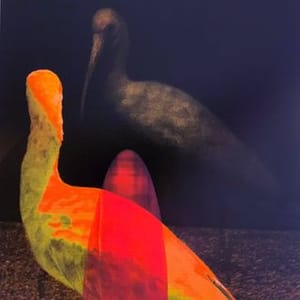 Studio Olaf Wipperfurth