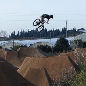 Carlos Langelaan