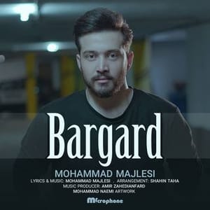 Mohamad Majlesi