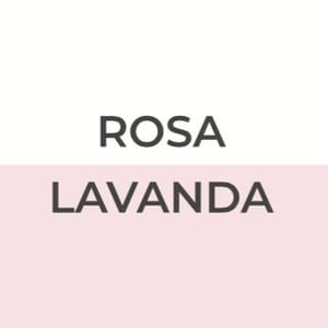 Rosa Lavanda