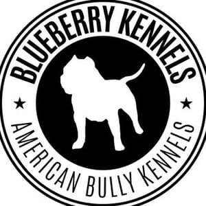 Blue Berry