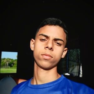 Ayrton Alvees