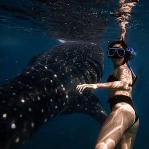 Lexi Travel