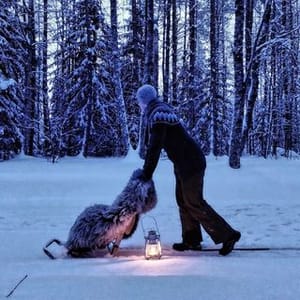 Ullamaija Naremaa