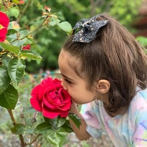 Amir Taimur