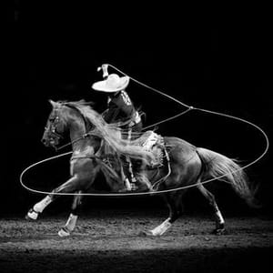 Impulse Photography