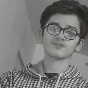 Hussain  Alshmry