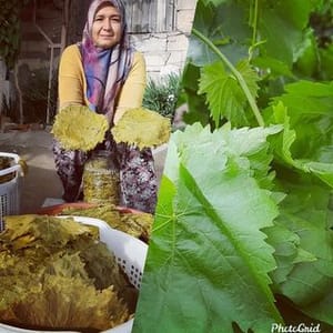 Manisa Koy Urunleri