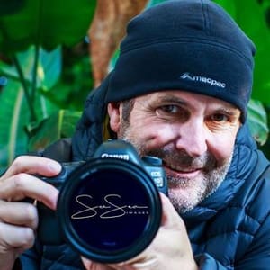Seesea Images