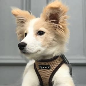 Marley Watson-dunmore