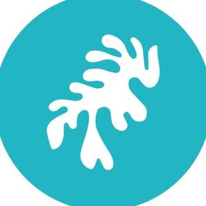 Matisse Events