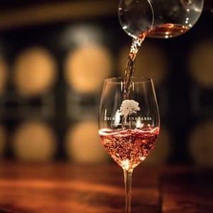 Becker Vineyards