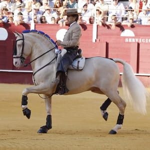 Diego Ventura