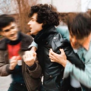 B Brunes