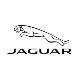Jaguar Colombia