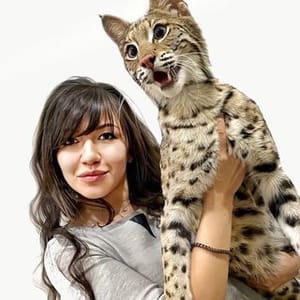 Ksena Islamova  Royal Cats