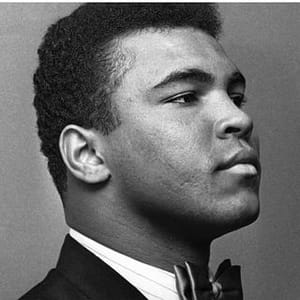 Toke Alexander Ibru