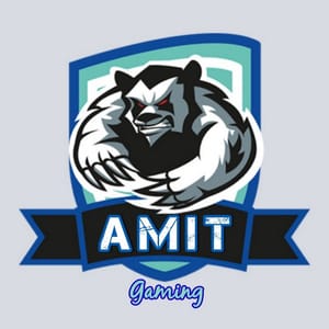 AMIT GAMING