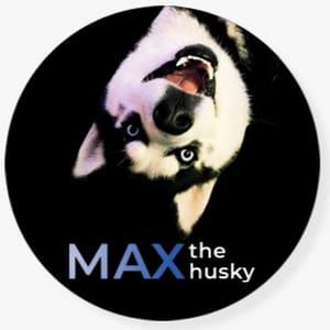 Max The Husky