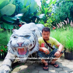 Muhammad Hamdan AlGhozali