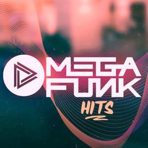 Mega Funk Hits