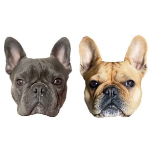Isa &amp; Hugo French Bulldog