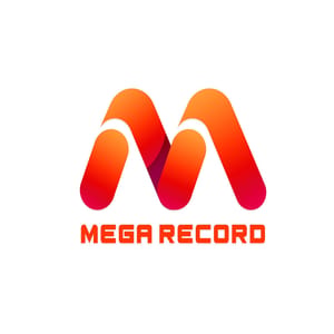 MEGA RECORD