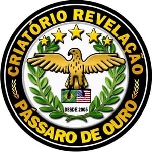 Diego Steil Criatório Revelação PÁSSARO DE OURO