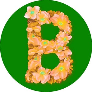 Blossom India