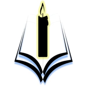 Vidya Vision Institute