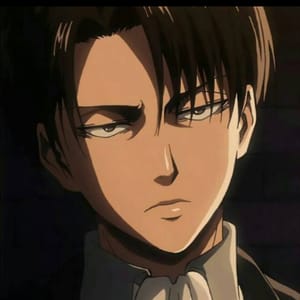Levi Hero
