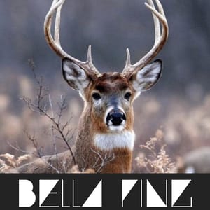 BELLA PING MUSIC CHANNEL