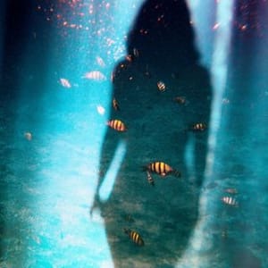 Sarah Blard