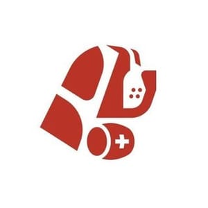 Saint Bernard