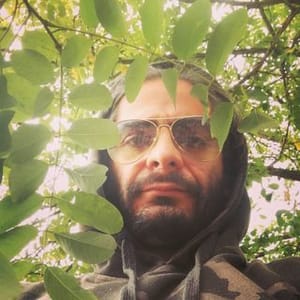 Alireza Raissivegan
