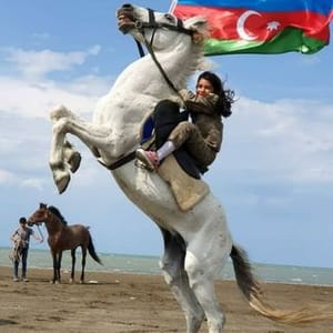 Gulay Ferzeliyeva