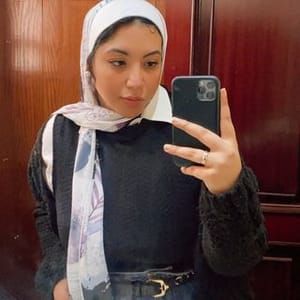 Nasi Elsaidy