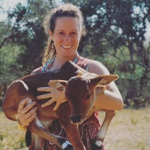 Stephanie Fuchs