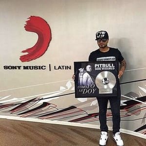 Don Miguelo