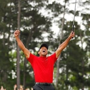 Vintage Tiger
