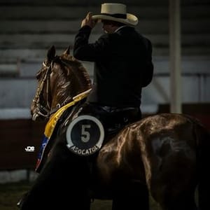 Alex Barreto Piocha