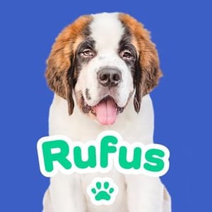 Rufus Goodboy